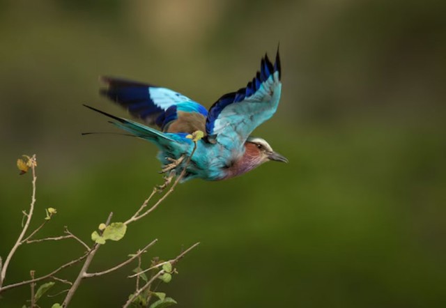 Trong cuộc sống hôn nhân, phụ nữ sinh ngày mùng 2 và mùng 9 Âm lịch thường là hậu phương vững chắc. Ảnh minh họa
