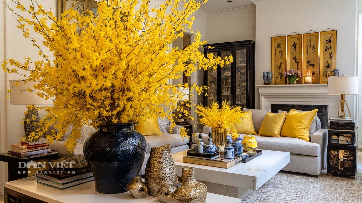 Cây cảnh này không chỉ có vẻ đẹp trang trí cao