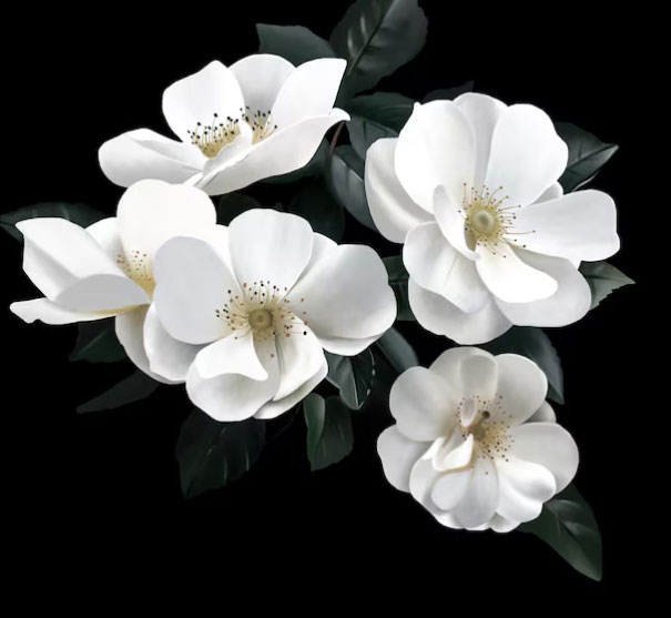 Theo tử vi, càng về trung niên, vận trình tài chính của người sinh giờ Sửu càng ổn định. Họ biết tiết kiệm, quản lý tiền bạc tốt và ít khi chi tiêu bốc đồng - Ảnh minh họa.