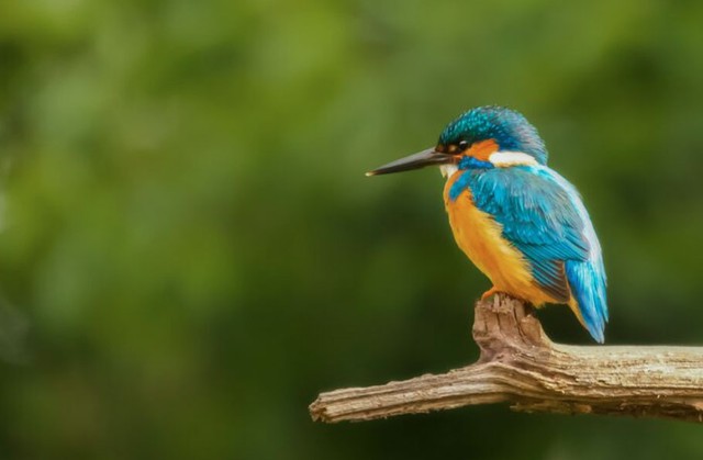 Người sinh ngày 26 Âm lịch có tầm nhìn xa và khả năng đưa ra quyết định sáng suốt - Ảnh minh họa.