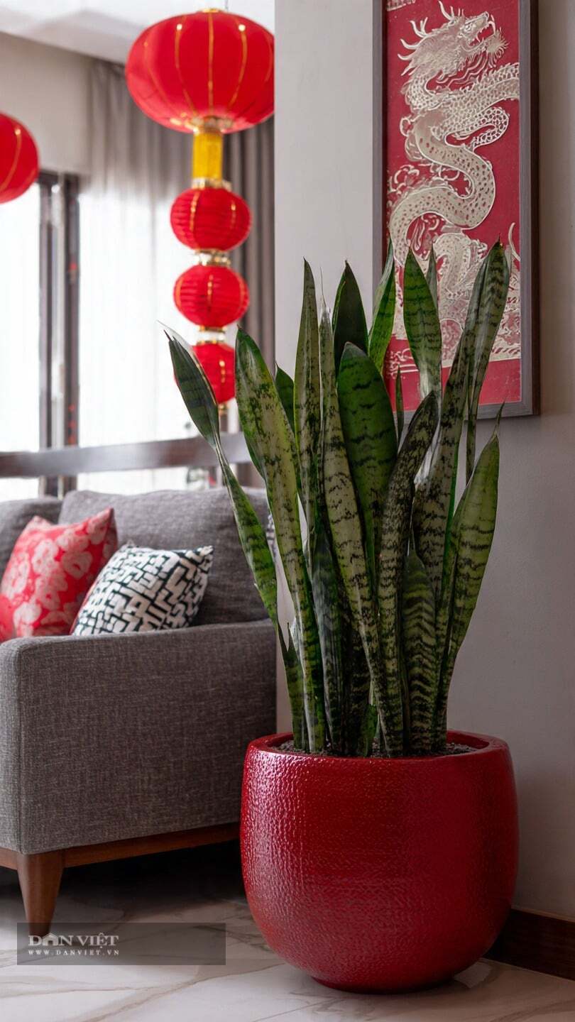 Cây cảnh hòa hợp hoàn hảo với mọi phong cách nội thất