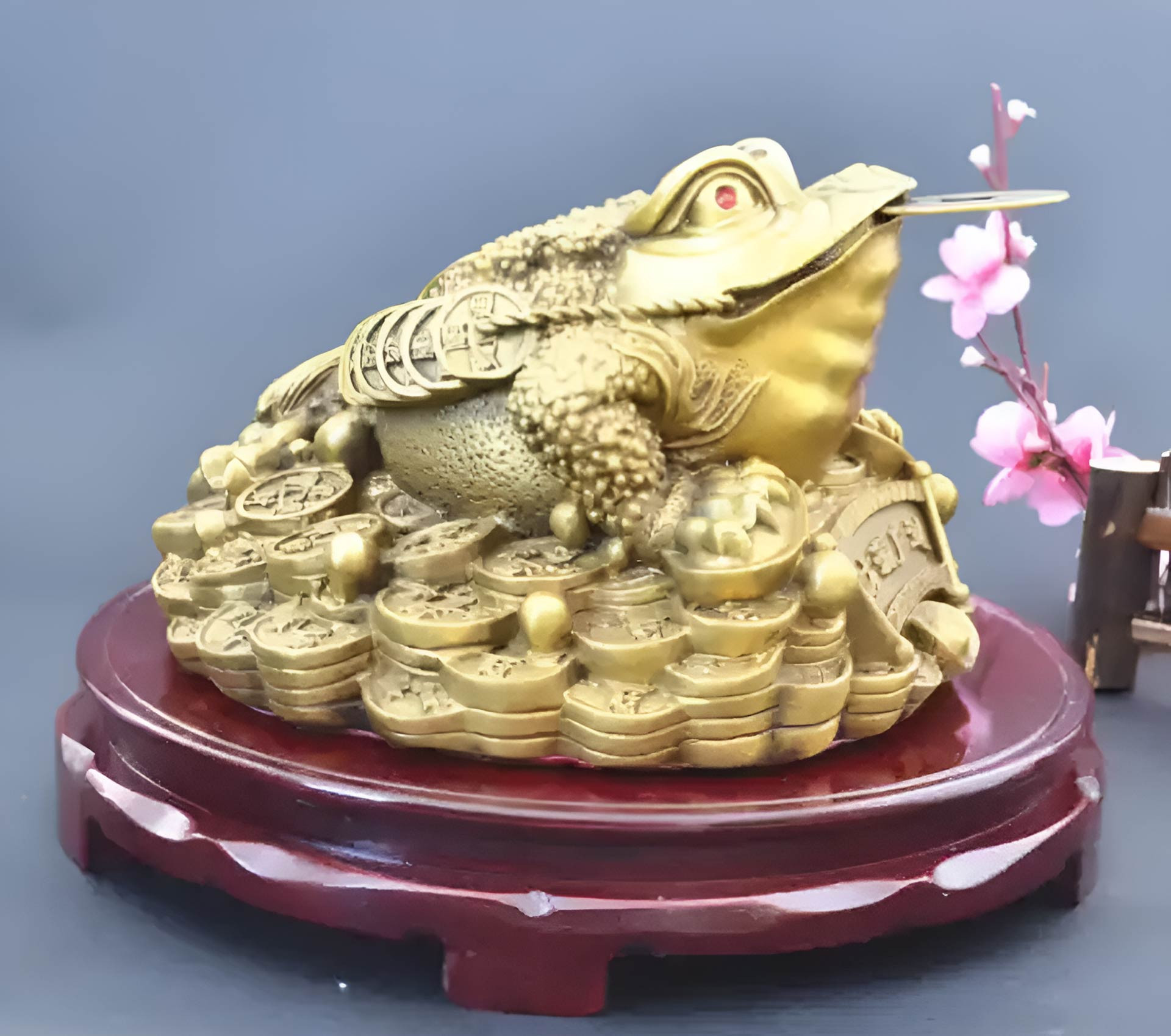 Thiềm thừ (cóc ba chân) ngậm tiền xu là linh vật quen thuộc tại các cửa hàng, văn phòng kinh doanh.