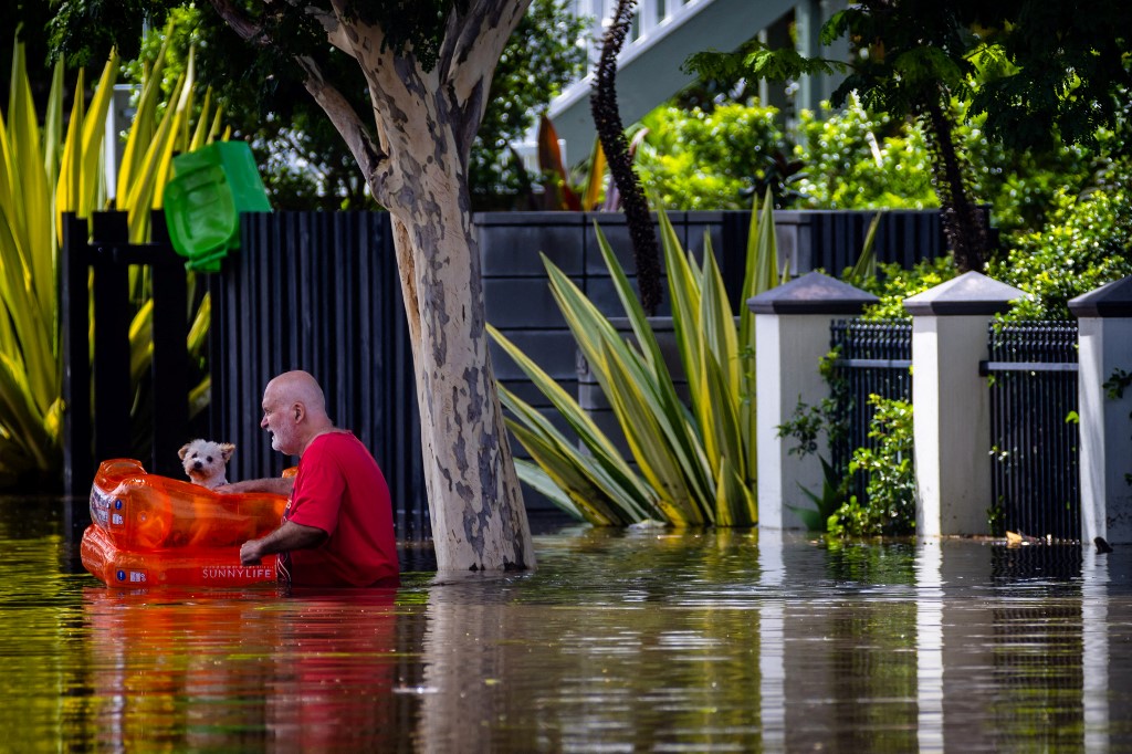 Người đàn ông sơ tán chó khỏi khu phố ngập lũ tại thành phố Brisbane, bang Queensland hôm 28/2. Ảnh: AFP.