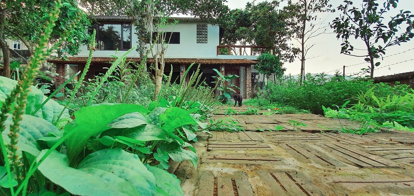 Ngôi nhà ‘thuận tự nhiên’ ở vùng núi Hòa Bình, nội thất làm từ đồ bỏ đi