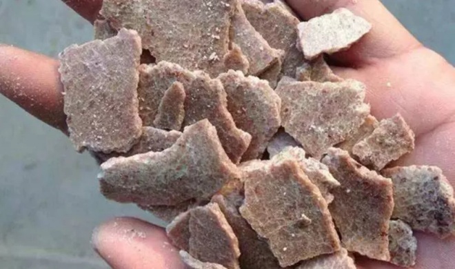 Dùng các loại vỏ này ngâm 15 ngày thành amp;#34;thần dượcamp;#34;, mang tưới cây hoa sẽ nở rộ - 5