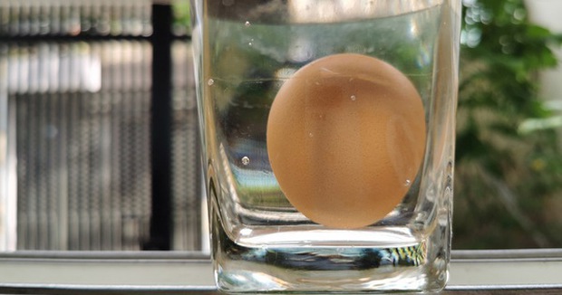Chuyên gia Mỹ khuyên khi thấy trứng có dấu hiệu này thì không nên mua - Ảnh 4.