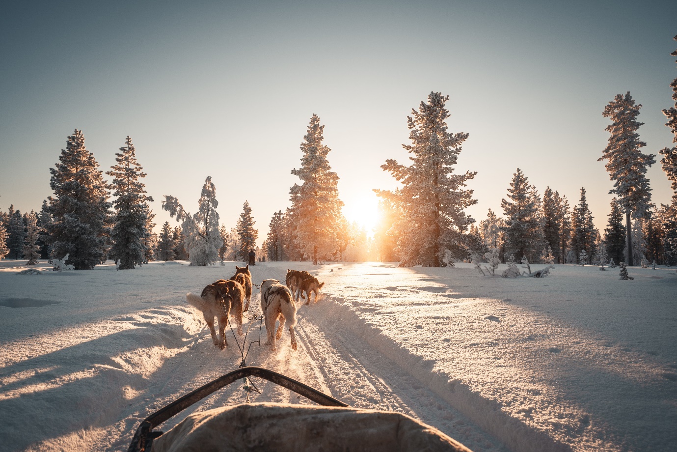 Rovaniemi Phần Lan - Xứ sở tuyết diệu kỳ giữa lòng Bắc Cực - Ảnh 4.