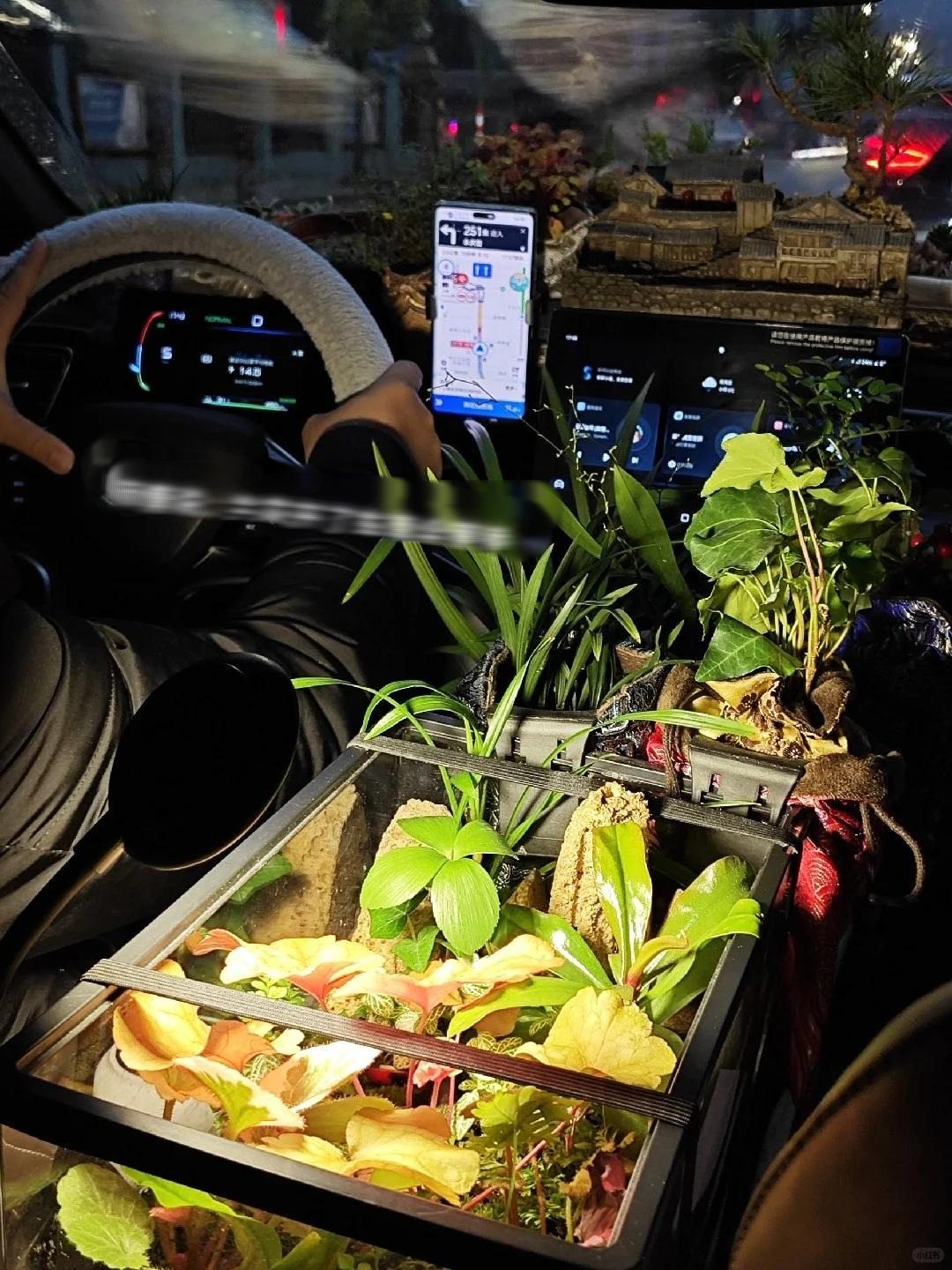 Người đàn ông làm 1 việc trong xe ô tô được dân tình khen ngợi: Kinh tế - tinh tế - thực tế!- Ảnh 2. Người đàn ông làm 1 việc trong xe ô tô được dân tình khen ngợi: Kinh tế - tinh tế - thực tế!- Ảnh 2.