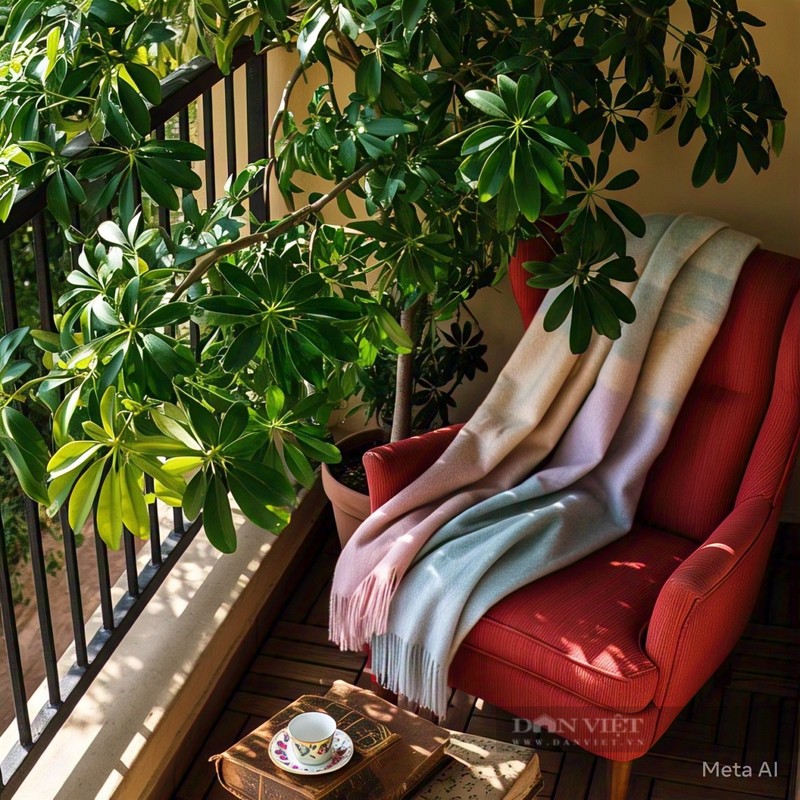 Cay canh hut loc tu phuong, tai loc do ve nuom nuop-Hinh-3