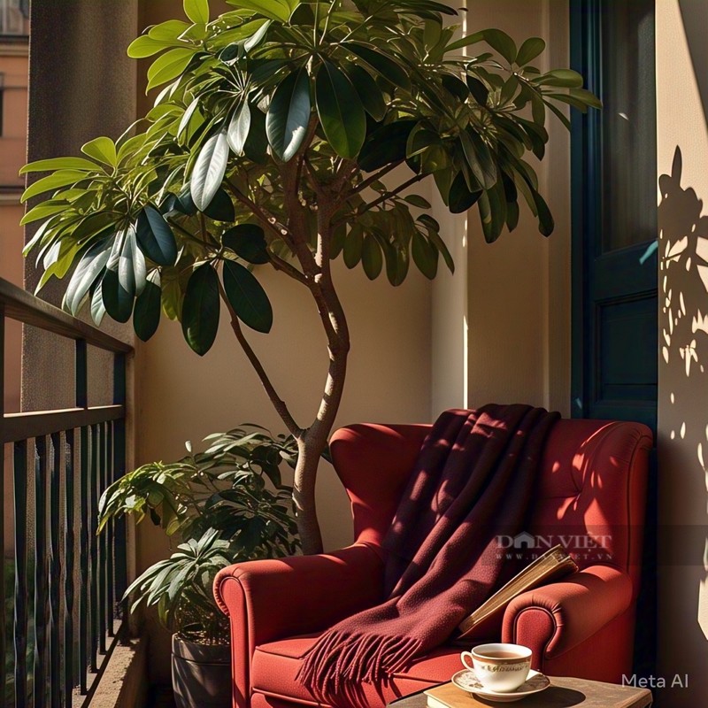 Cay canh hut loc tu phuong, tai loc do ve nuom nuop-Hinh-8