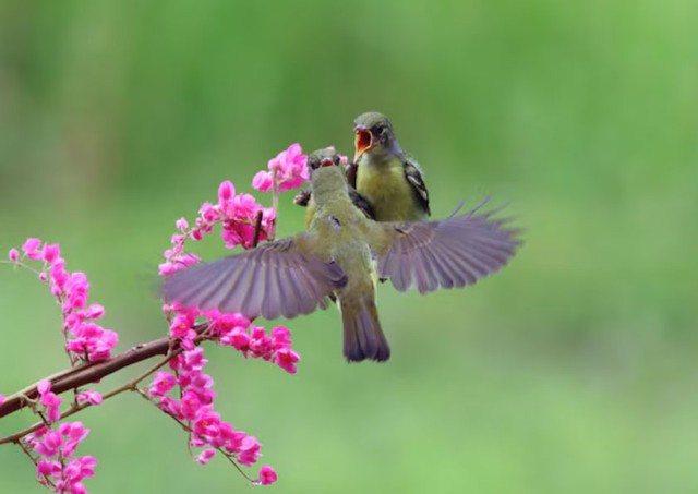 Người sinh vào ngày 1/4 Âm lịch thường đạt được sự ổn định khi bước sang giai đoạn trung niên. Ảnh minh họa