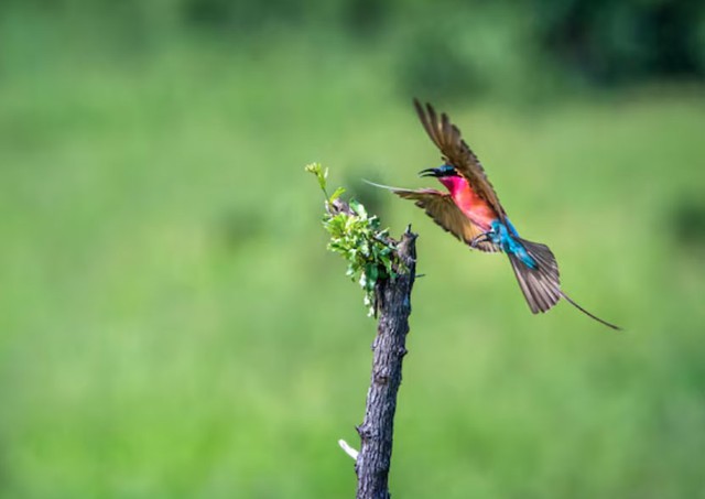 Hậu vận của nngười sinh vào ngày 25/8 Âm lịch thường yên bình, đủ đầy và ít biến động. Ảnh minh họa