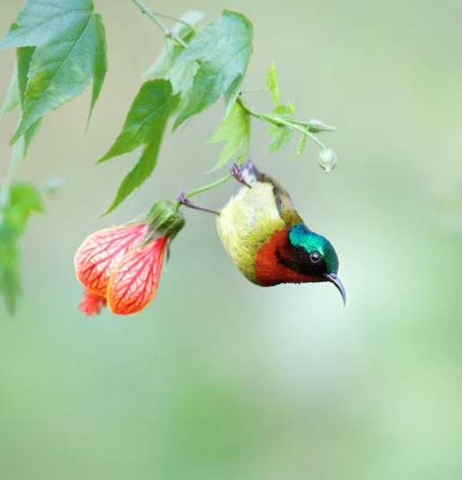 Khi bước vào tuổi già, cuộc sống của người sinh vào ngày 1/10 Âm lịch thường ổn định cả về vật chất lẫn tinh thần. Ảnh minh họa