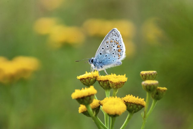 Khi đã lập gia đình, người sinh vào tháng 2 Âm lịch trở thành người bạn đời biết chăm lo, giữ gìn hòa khí, giúp mái ấm luôn tràn đầy sự bình yên. Ảnh minh họa