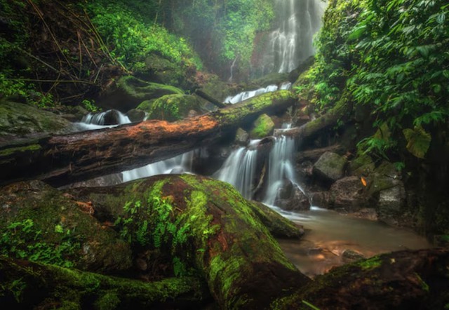 Những người sinh vào ngày 15/8 Âm lịch hậu vận thường ổn định, gia đình hòa thuận, con cháu đông vui, tuổi già nhẹ nhàng và hạnh phúc - Ảnh minh họa.