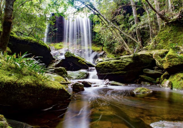 Người sinh ngày 24/9 Âm lịch thường tích lũy được cả kinh nghiệm sống lẫn tài chính, tạo nền tảng vững vàng cho tuổi già - Ảnh minh họa.