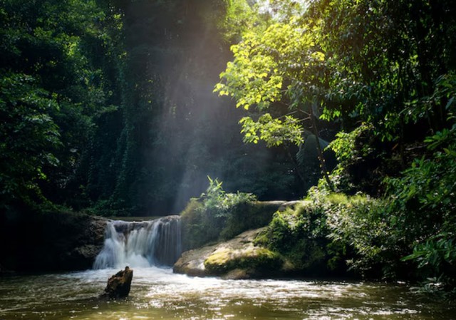 Khi bước vào tuổi xế chiều, người sinh ngày 22/12 Âm lịch có cuộc sống ổn định, bình an và nhẹ nhõm hơn sau những năm tháng nỗ lực - Ảnh minh họa.