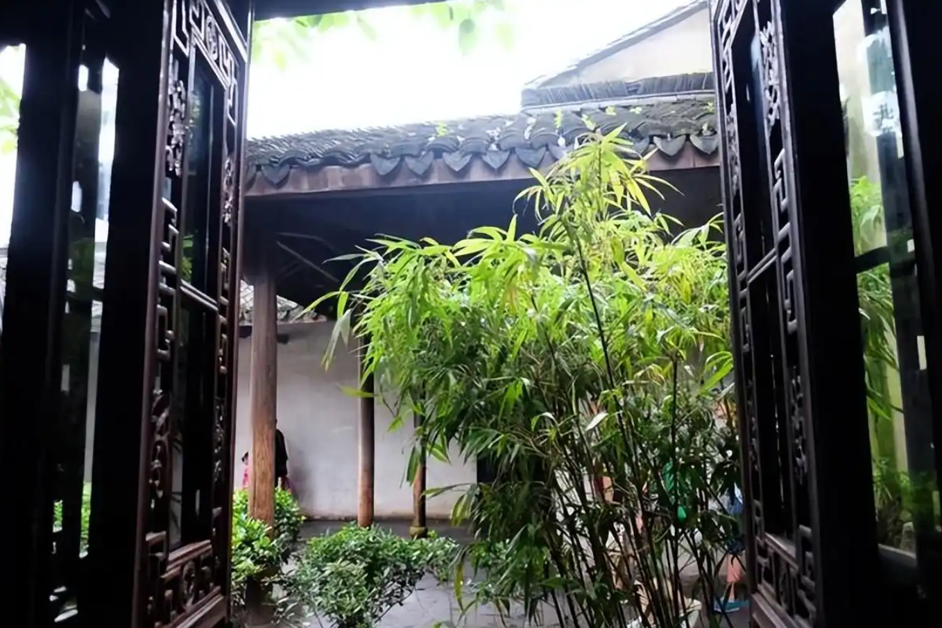 Tre mang ý nghĩa sinh khí và thịnh vượng trong quan niệm Á Đông nhưng cần được trồng đúng vị trí để tránh ảnh hưởng đến kết cấu và không gian sống. Ảnh: Baidu