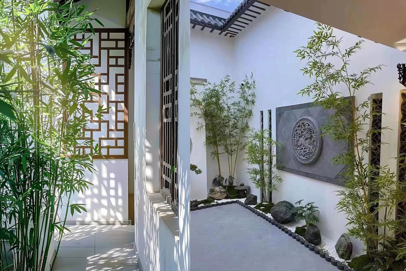 Với đặc tính rễ lan nhanh, tre phù hợp trồng ở sân vườn rộng hoặc khu vực có quy hoạch kiểm soát, thay vì sát móng nhà ở. Ảnh: Baidu