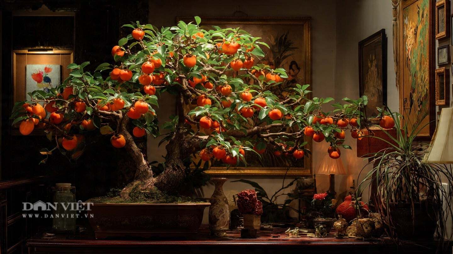 Luôn mua cây cái có nụ hoa để chắc chắn chúng là cây cái.