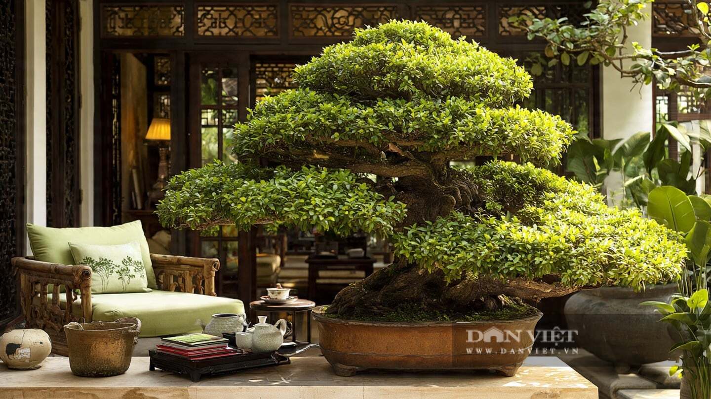 Mỗi lần tỉa cành cho cây cảnh đều góp phần vào câu chuyện cùng nhau trưởng thành