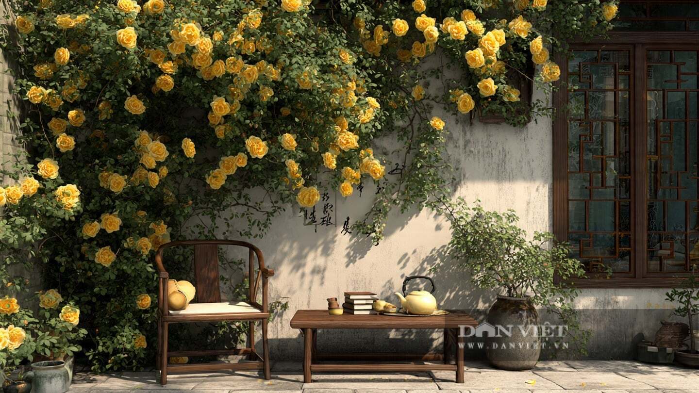 Cây cảnh này cho ra rất nhiều hoa với màu sắc rực rỡ