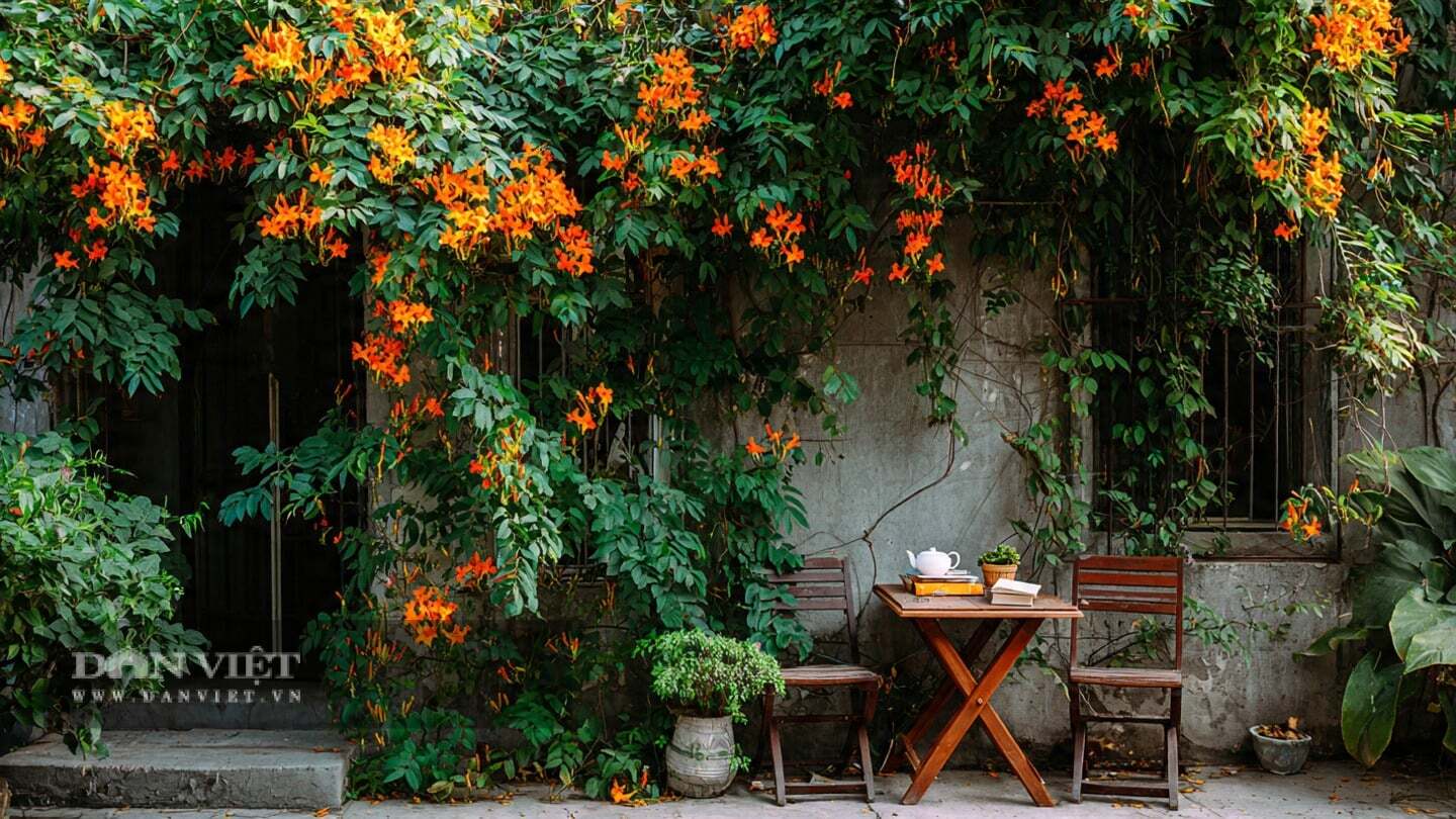 Cây cảnh chịu hạn