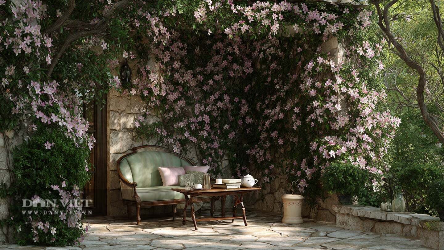 Cây cảnh này hơi khó tính