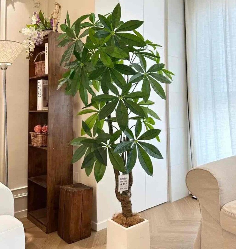 5 loại hoa mà người giàu thường “lén trồng”, bảo sao càng trồng càng giàu, nhà bạn có trồng không? - 4