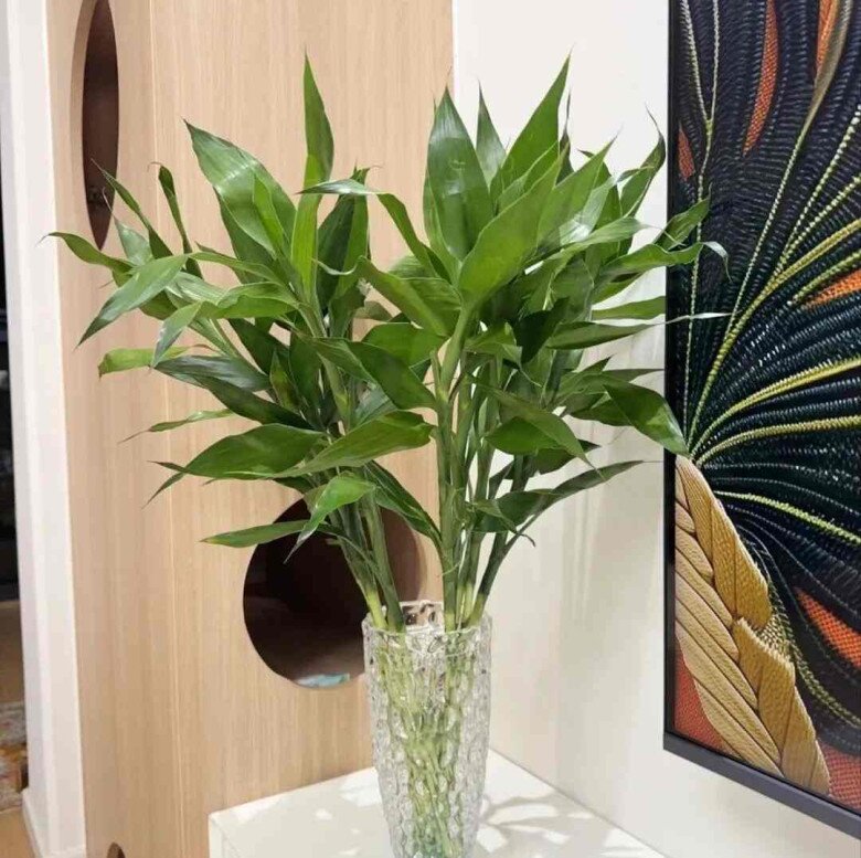 5 loại hoa mà người giàu thường “lén trồng”, bảo sao càng trồng càng giàu, nhà bạn có trồng không? - 5