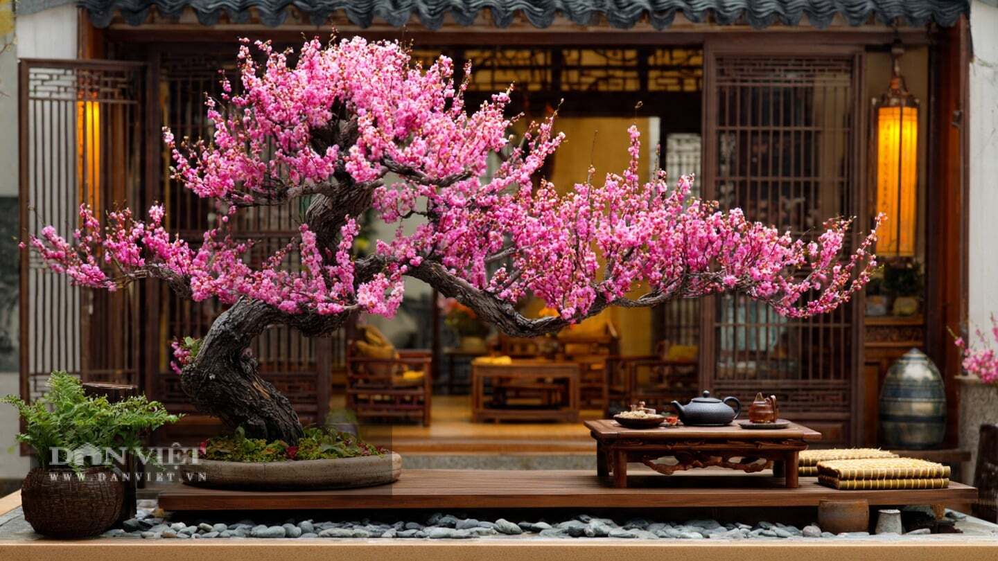 Cây cảnh này được gọi là mơ, mơ ta, mơ Đông Á, mơ mai