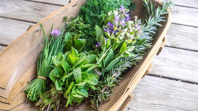 Nhiều loại rau gia vị vừa thêm hương vị cho món ăn vừa tốt cho sức khỏe.