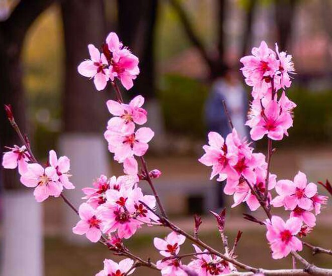 Đời người, điều gì là đắt giá nhất? - 1