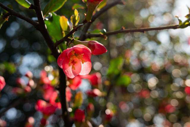 Đời người, điều gì là đắt giá nhất? - 2