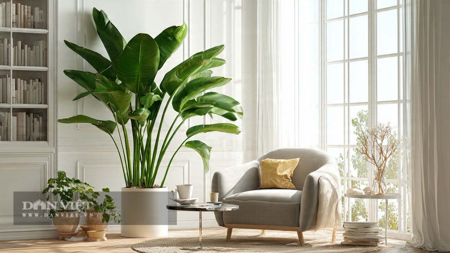 Người xưa cho rằng, thiên điểu tượng trưng cho may mắn và trường thọ