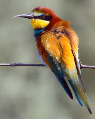 Người sinh ngày 28 Âm lịch thường là những người thành công muộn. Ảnh minh họa