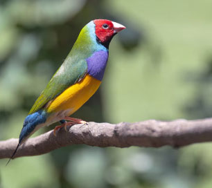 Khi tìm được lĩnh vực phù hợp với năng lực sáng tạo của mình, người sinh ngày 10 Âm lịch có thể bùng nổ năng lượng và đạt được những thành tựu đáng nể. Ảnh minh họa