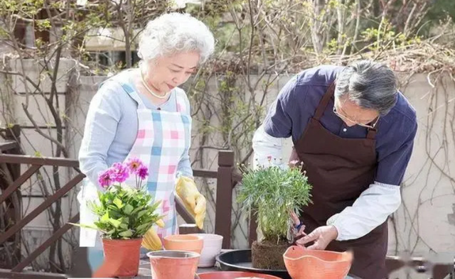 5 đặc điểm của người có tuổi thọ cao: Đặc điểm thứ 4 thường bị nhiều người bỏ qua - 1