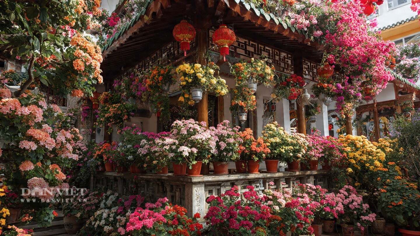 Sống đời là cây cảnh đứng đầu trong lựa chọn này.