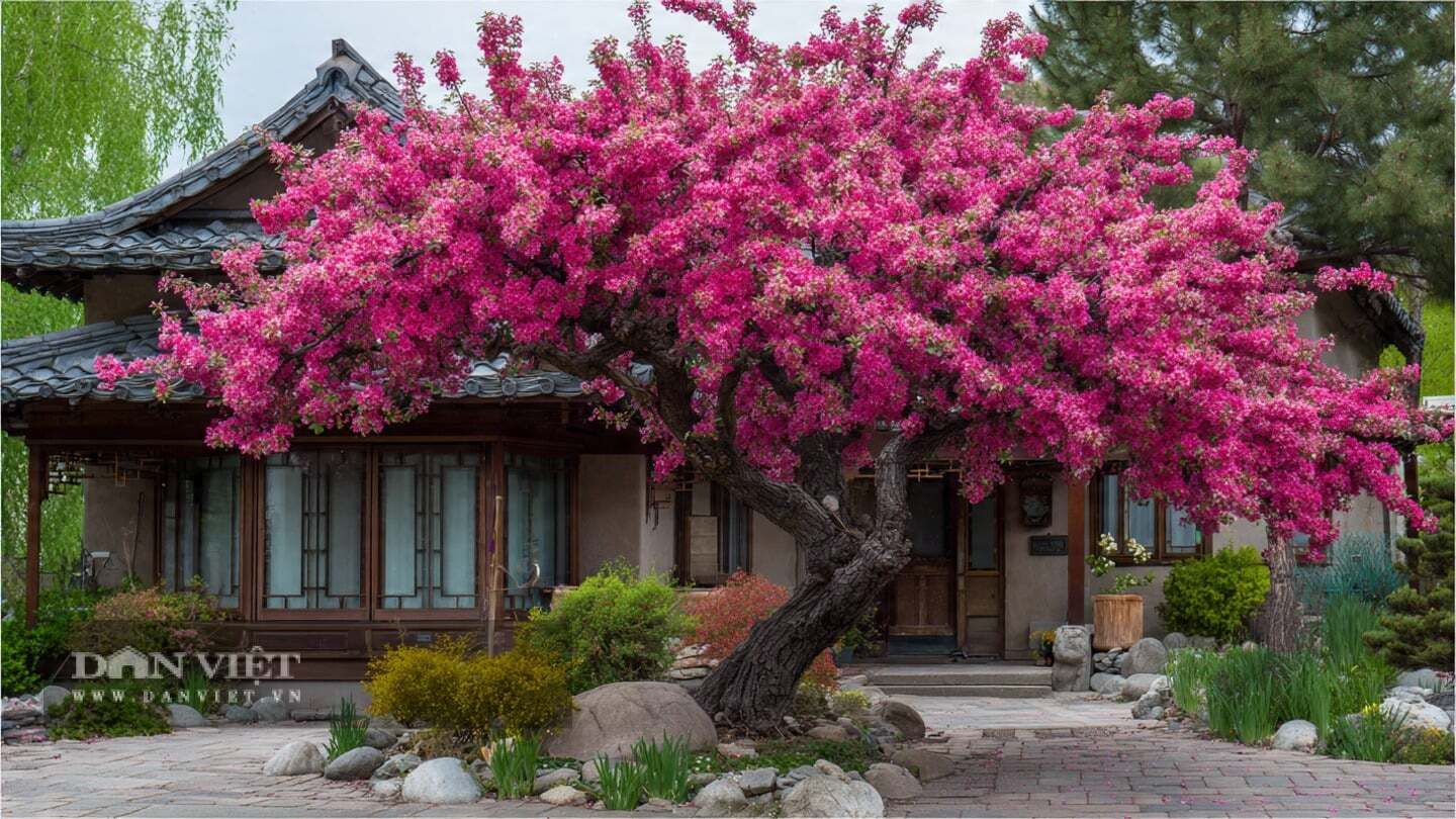 Theo người xưa, một ngôi nhà có phòng khách đón nhiều ánh nắng trực tiếp, cung cấp nguồn ánh sáng liên tục cho nội thất.