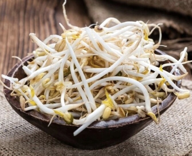 Giá đỗ rất tốt cho sức khoẻ tổng thể (Ảnh minh hoạ)