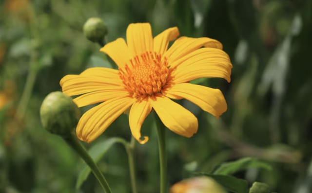 Càng về sau, không gian phát triển của người sinh vào giờ Thìn càng rộng mở. Ảnh minh họa