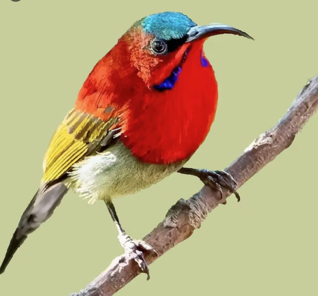 Không chỉ giỏi kiếm tiền, người sinh giờ Thìn Âm lịch còn có tư duy quản lý chi tiêu rất rõ ràng. Ảnh minh họa