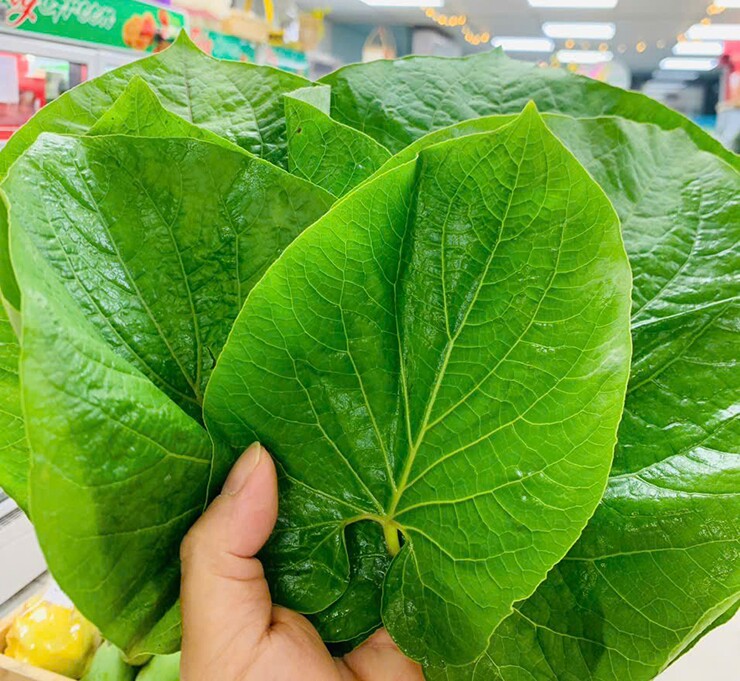 Cây mọc bờ rào được ví như amp;#34;lá kim cươngamp;#34;, trồng một lần hái bán quanh năm, thành đặc sản có hương vị lạ được ưa chuộng - 3