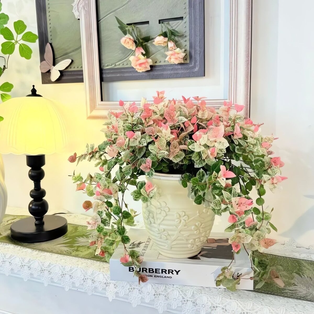 Cây cảnh này có khả năng chịu nắng