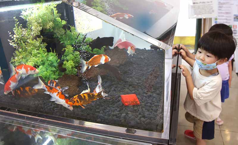 Giáo sư ĐH Sư phạm Bắc Kinh: Nuôi con giống như nuôi cá, mấu chốt là môi trường gia đình - 1