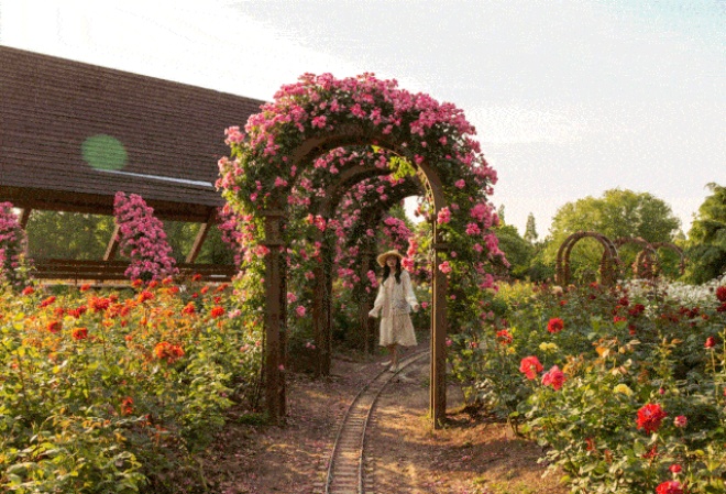 3 cây cảnh amp;#34;báu vật của khu vườnamp;#34;, đã trồng một cây là không thể dừng lại - 1