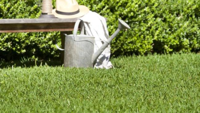 Gardening guru Peter Cundall encouraged Australians to get their hands in the soil.