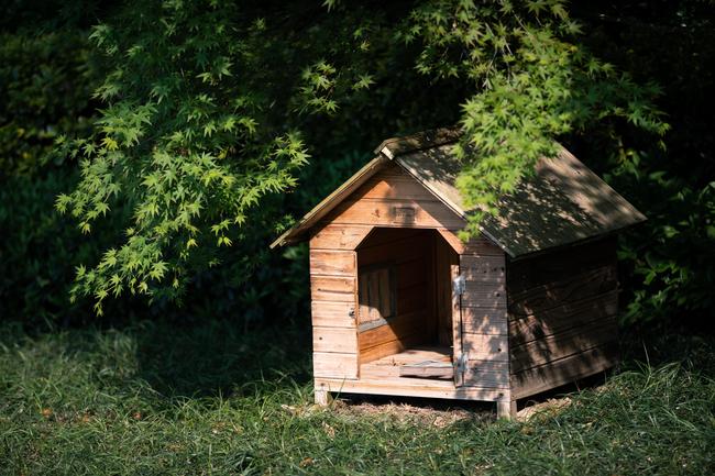 Dog owners should make sure that kennels and sleeping areas are vacuumed every single day.