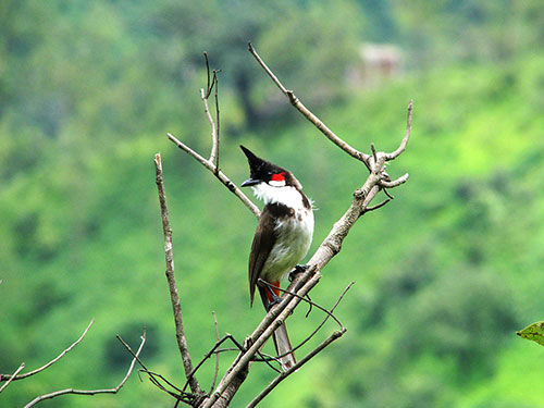 Sinh thang Am lich nay khong thieu quy nhan-Hinh-12